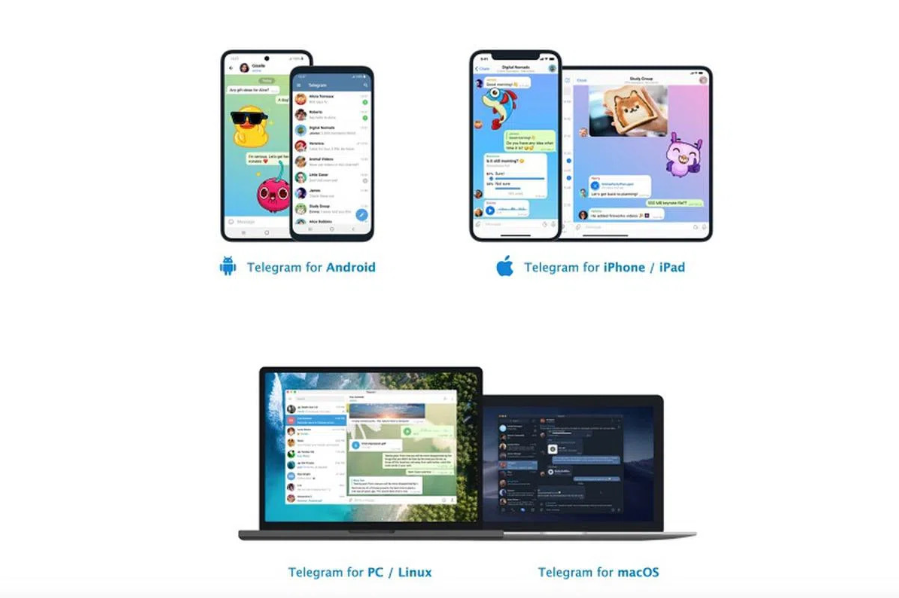 screen